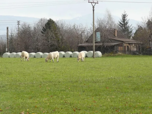 2d86836cdec4952eafc47268997e9623.JPG