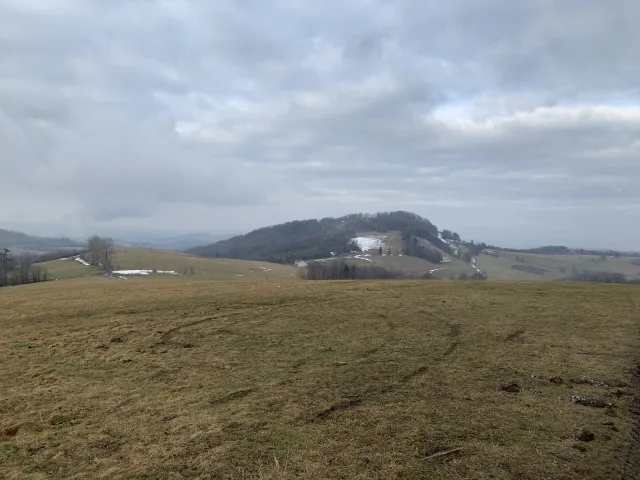 Cantoryje-15.02.2020-6