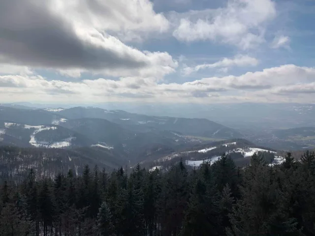 Cantoryje-15.02.2020-6
