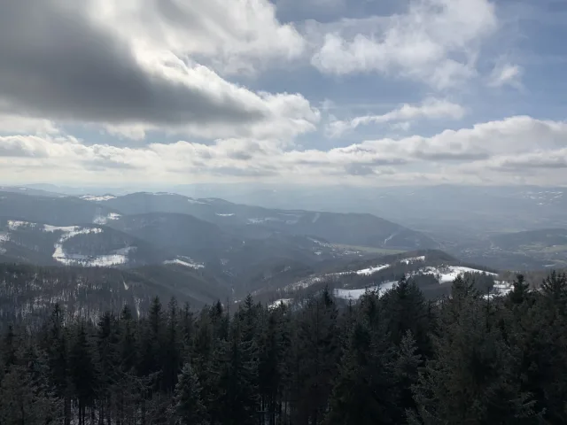Cantoryje-15.02.2020-11