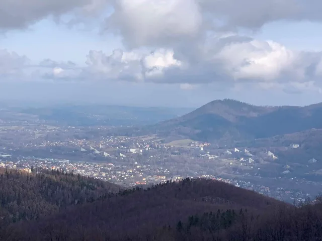 Cantoryje-15.02.2020-13