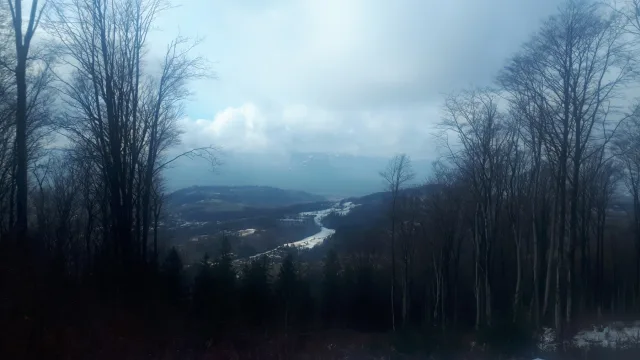 20200215_104039