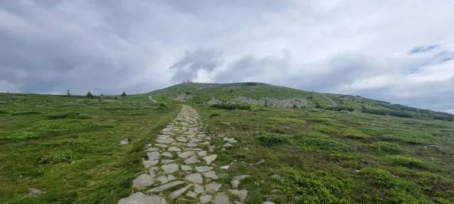 20230702_101532
