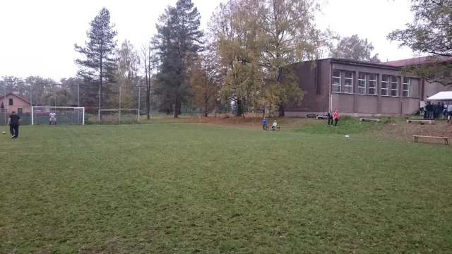 1000011768